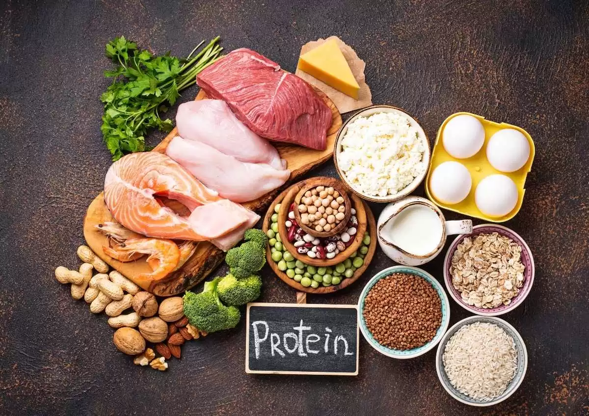 sağlıklı yaşam için dengeli protein