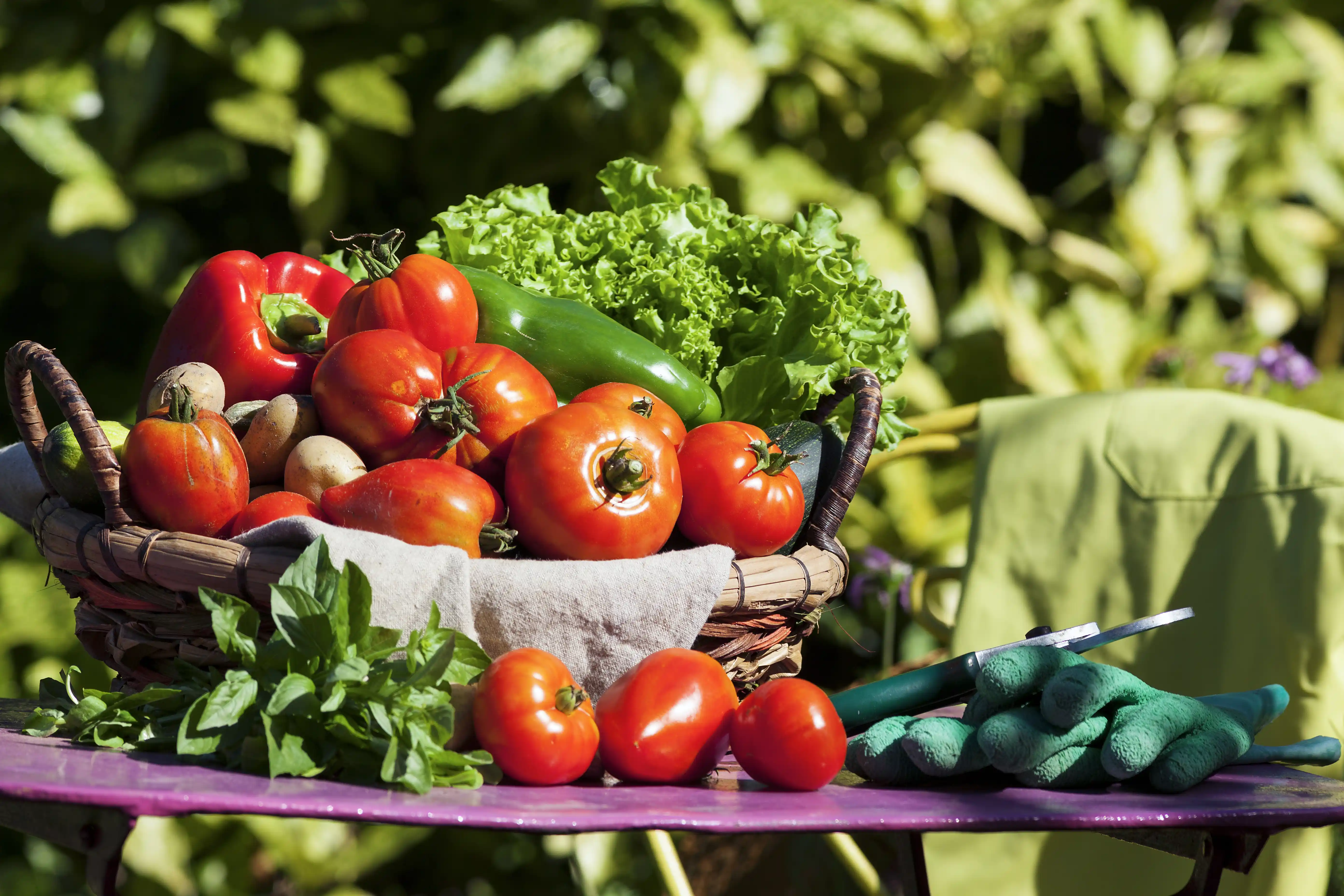 organik beslenmenin sağlığa etkileri