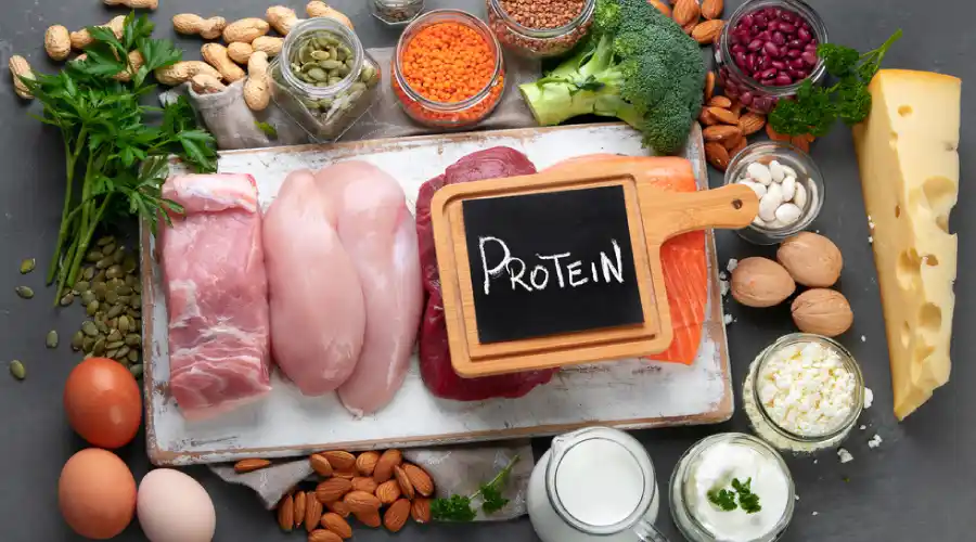 protein diyeti nedir
