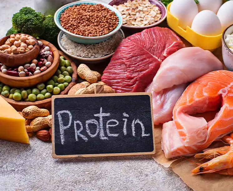 Fazla Protein Tüketirsek Ne Olur? Riskleri Nelerdir?